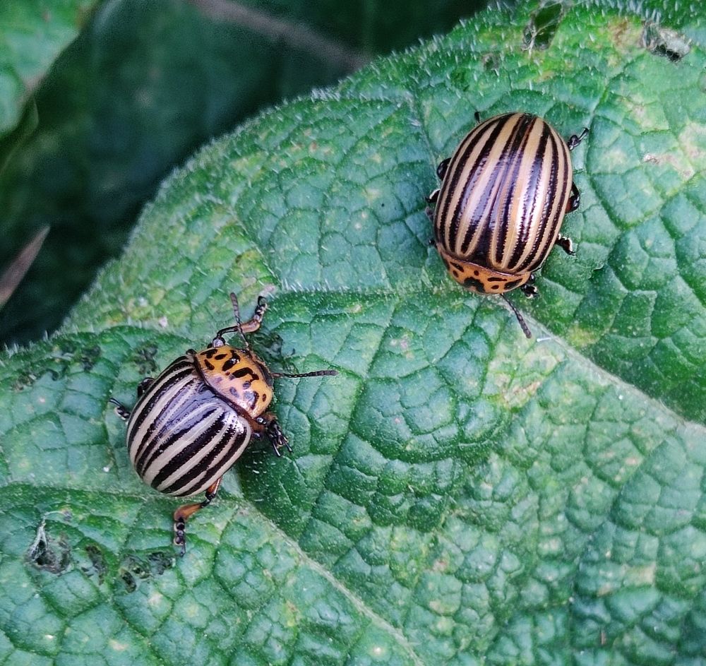 Photograph by Наталья