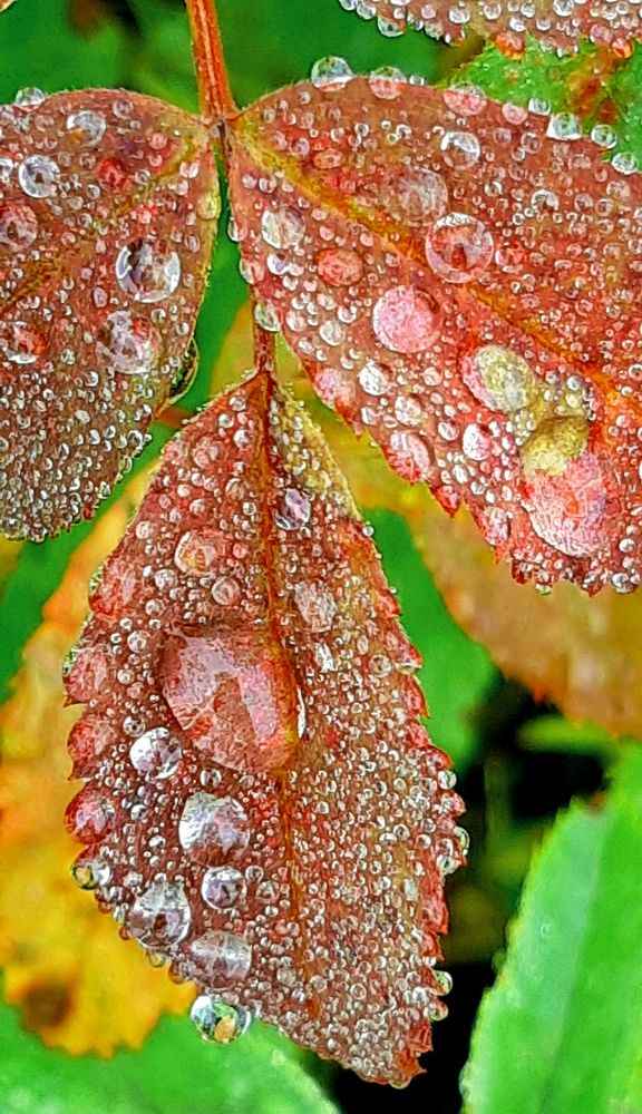 Photograph by Ольга Александрова