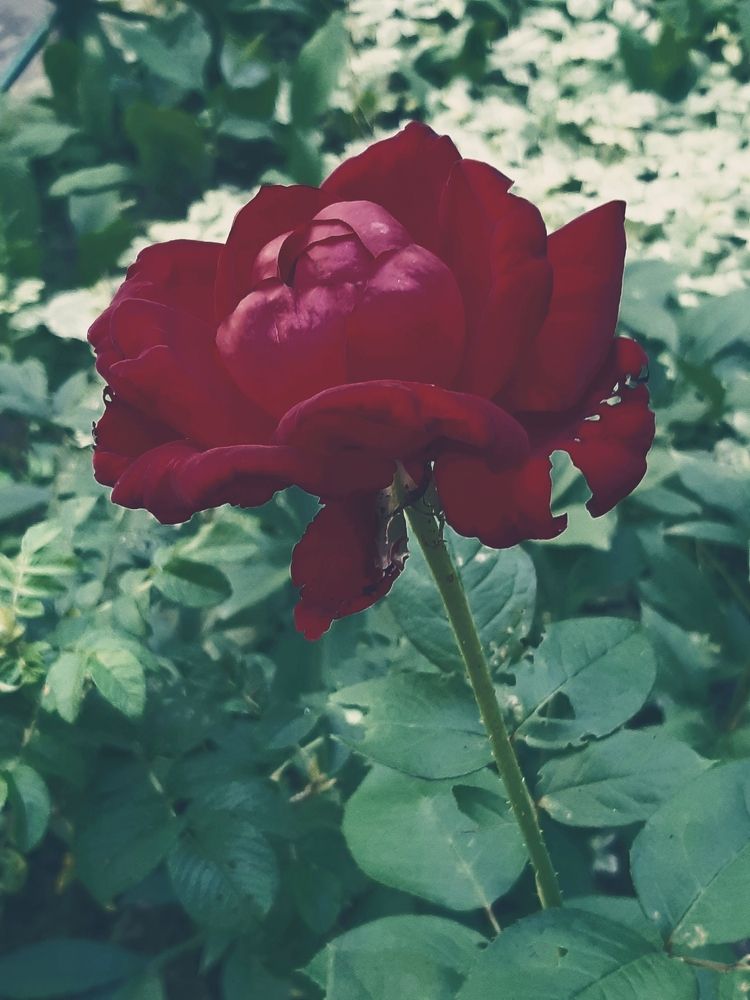 Photograph by Ольга Александрова