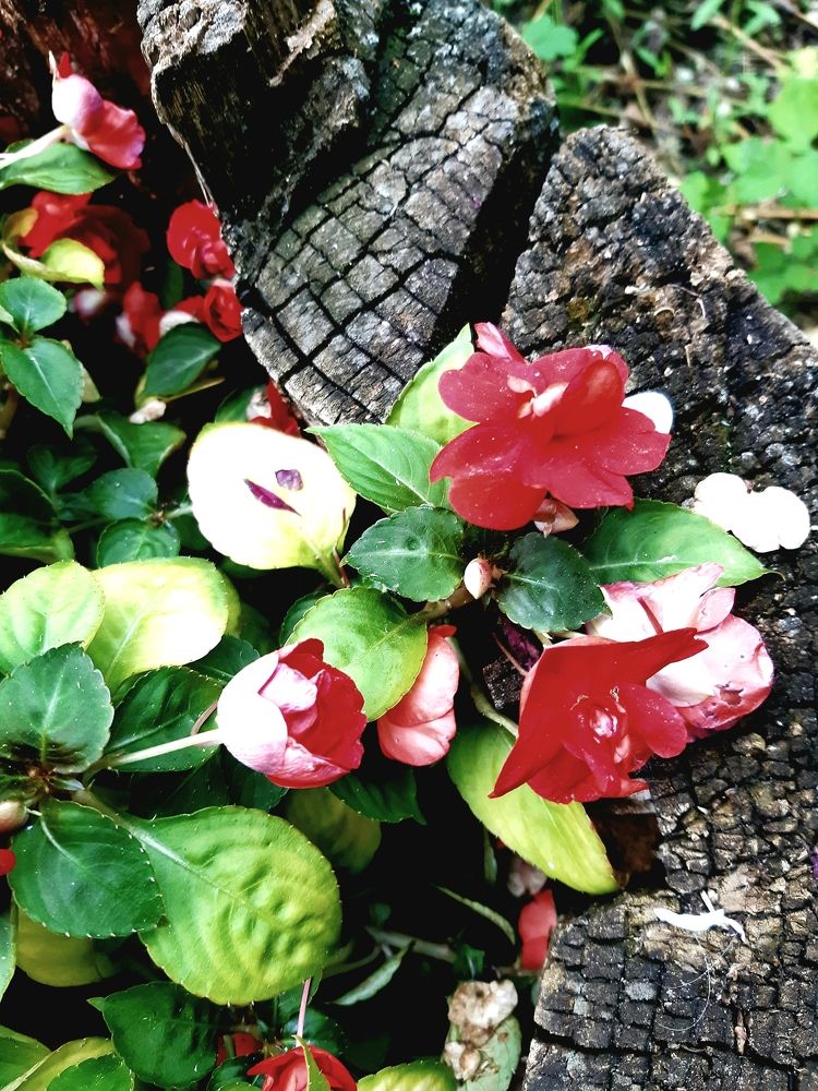 Photograph by Ольга Александрова