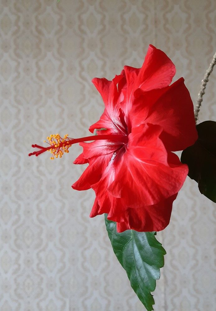 Фотография автора Ирина Лукьянчик