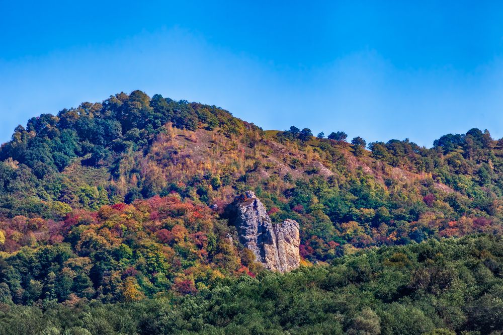 Photograph by Владимир Кваша