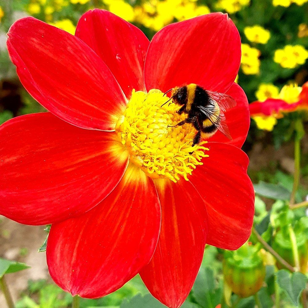 Фотография автора Ирина Лукьянчик