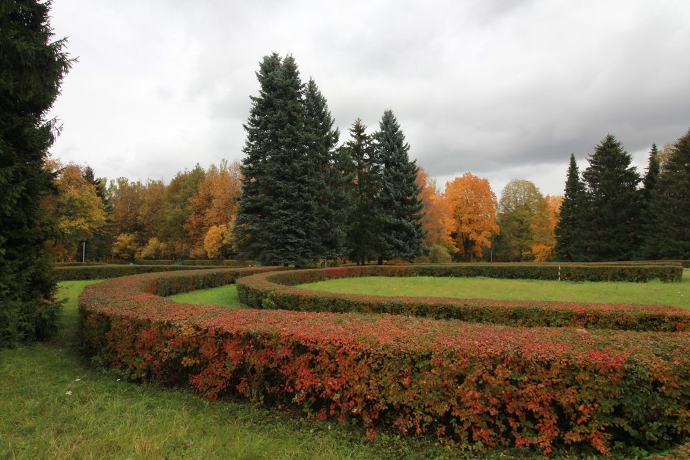 Пулковский меридиан
