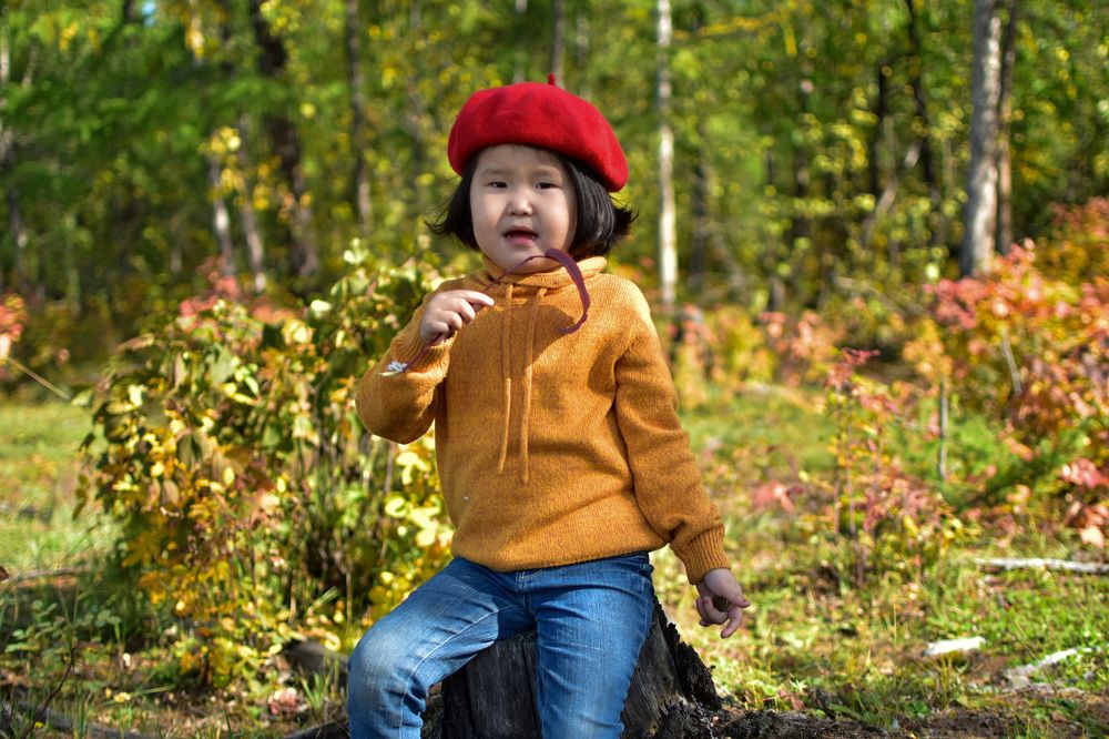 Красная шапочка