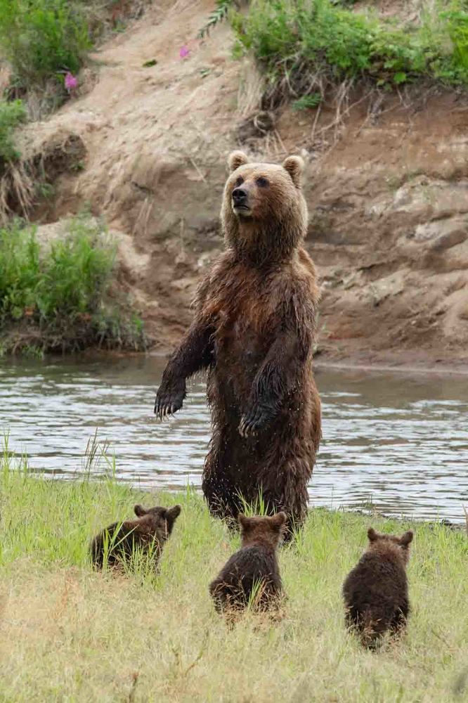 Photograph by Алексей Шаскольский