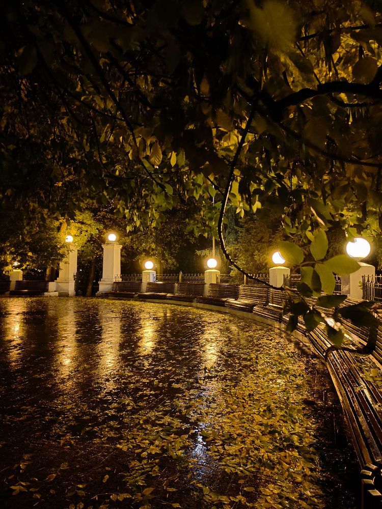 Photograph by Альфия