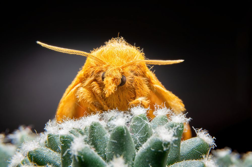 Photograph by Remigijus Drevinskas