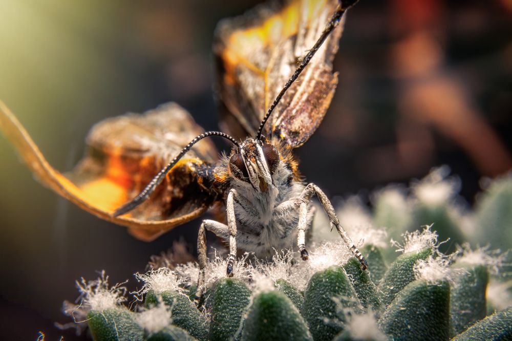 Photograph by Remigijus Drevinskas