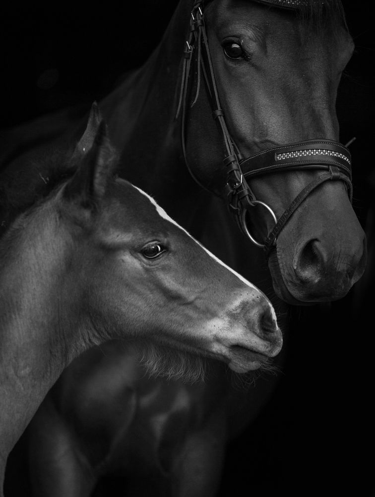 Photograph by Любовь Похабова