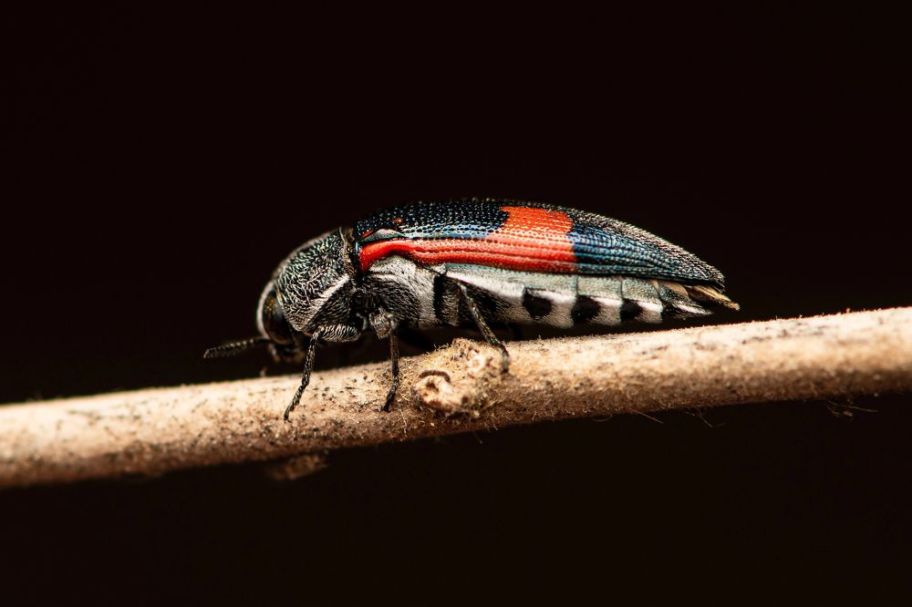 Photograph by Sabari Photography