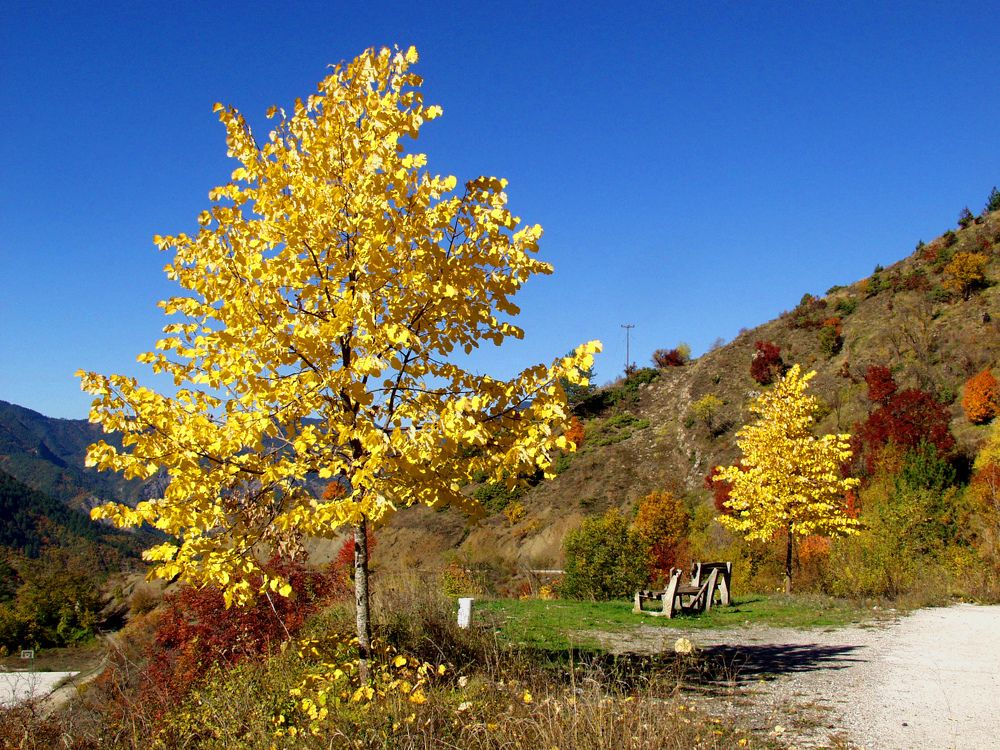 Photograph by Economidis Dimitris