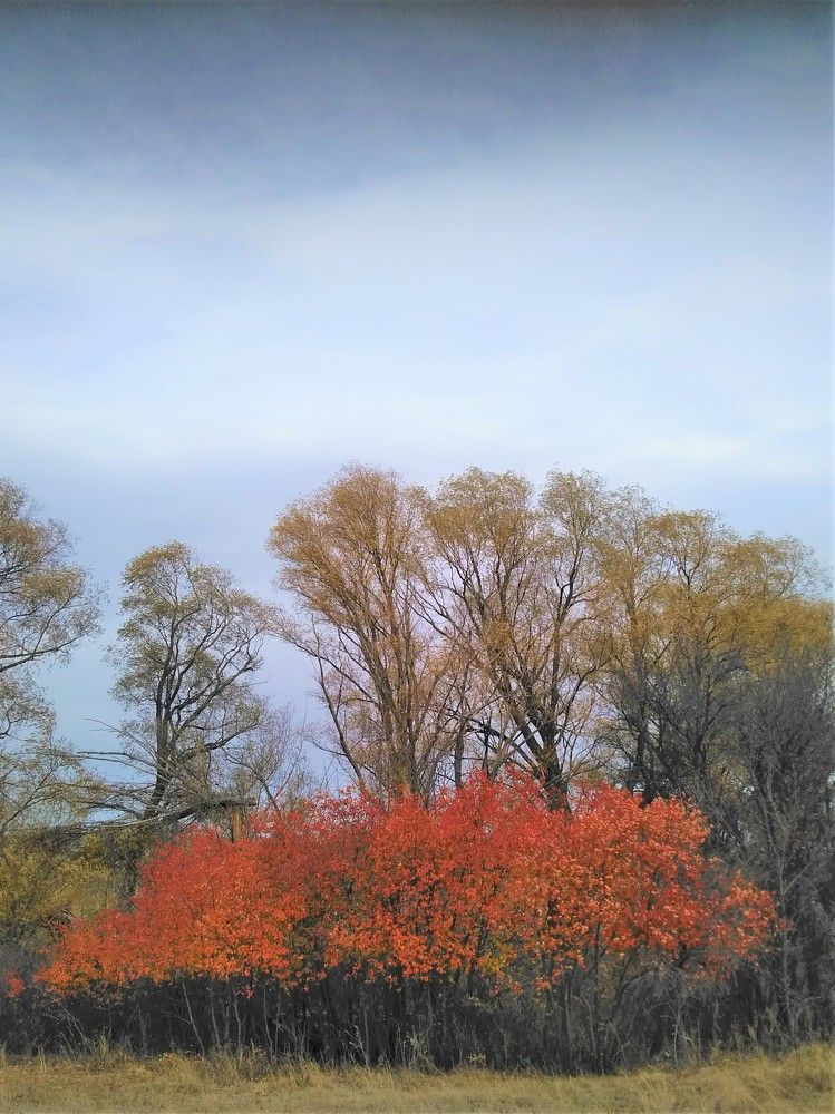 Photograph by SAFRON