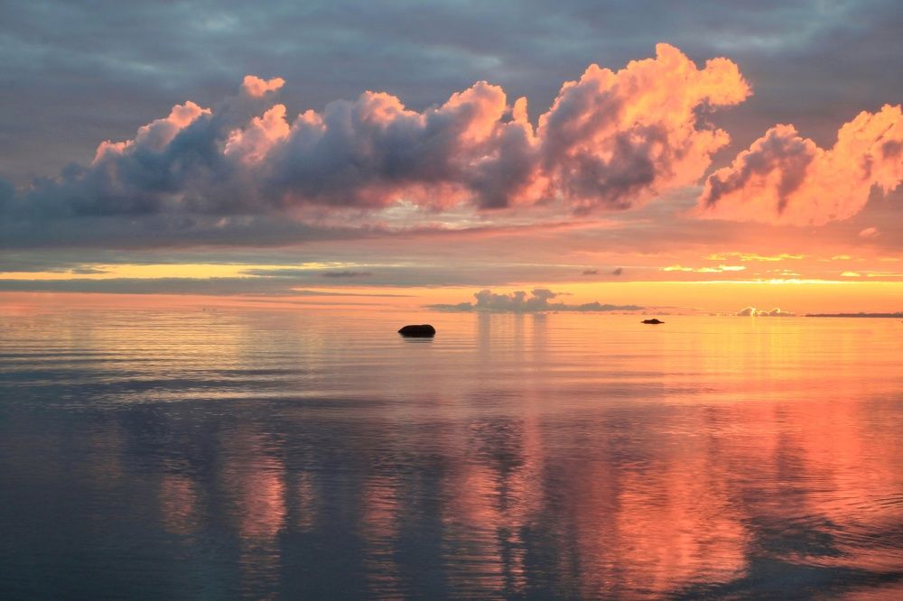 Цветущее небо