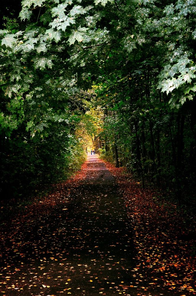Photograph by Александр Лабутин