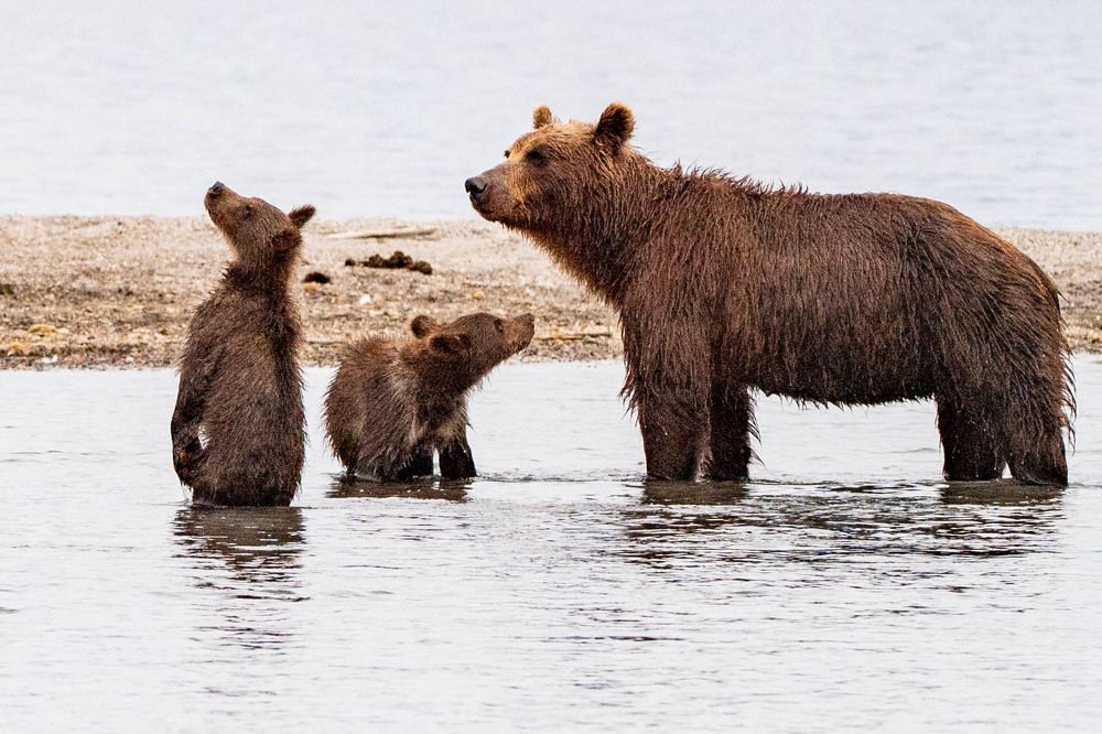 Photograph by Алексей Шаскольский
