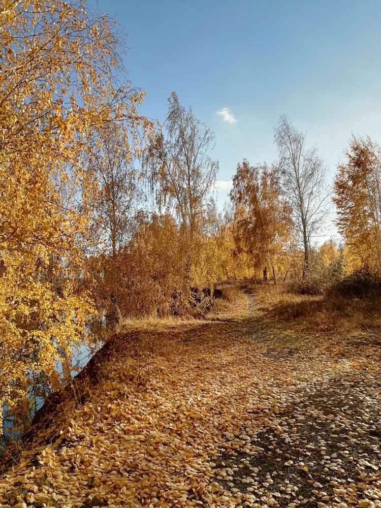 Photograph by Светлана Кудянова