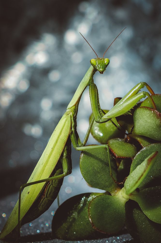 Photograph by Елизавета Польшина