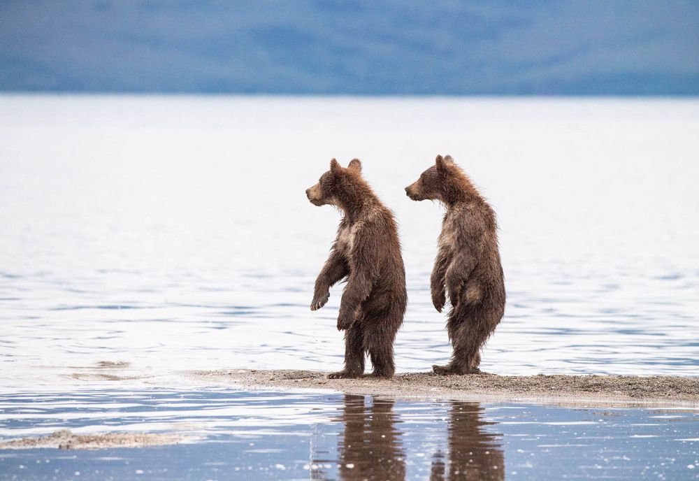 Photograph by Алексей Шаскольский
