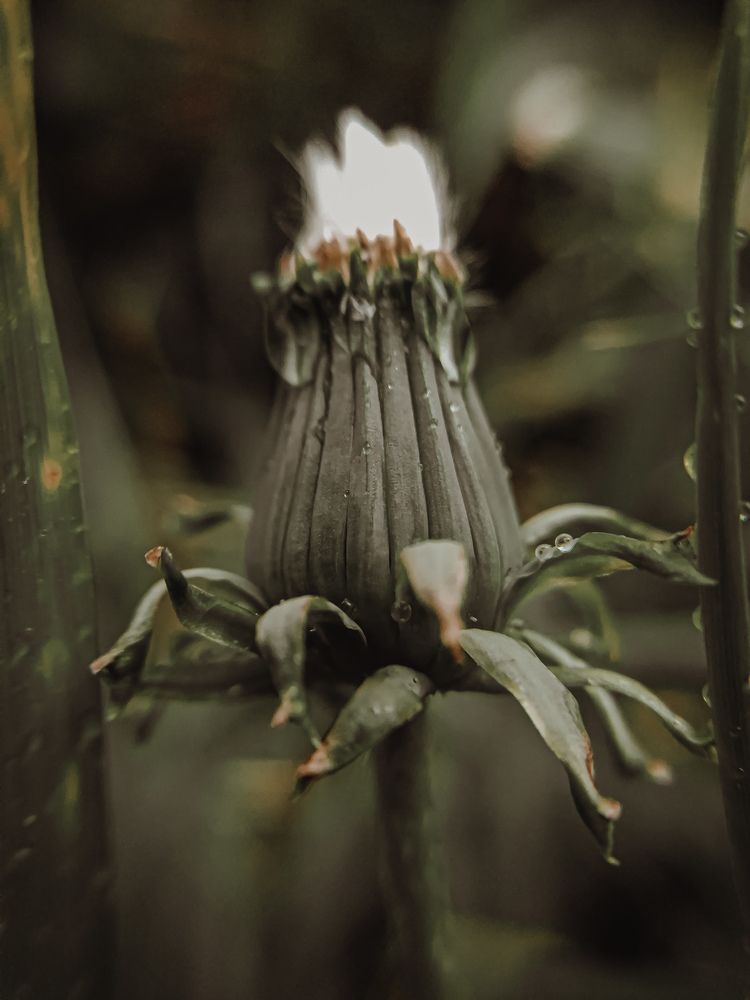 Photograph by Елизавета Польшина