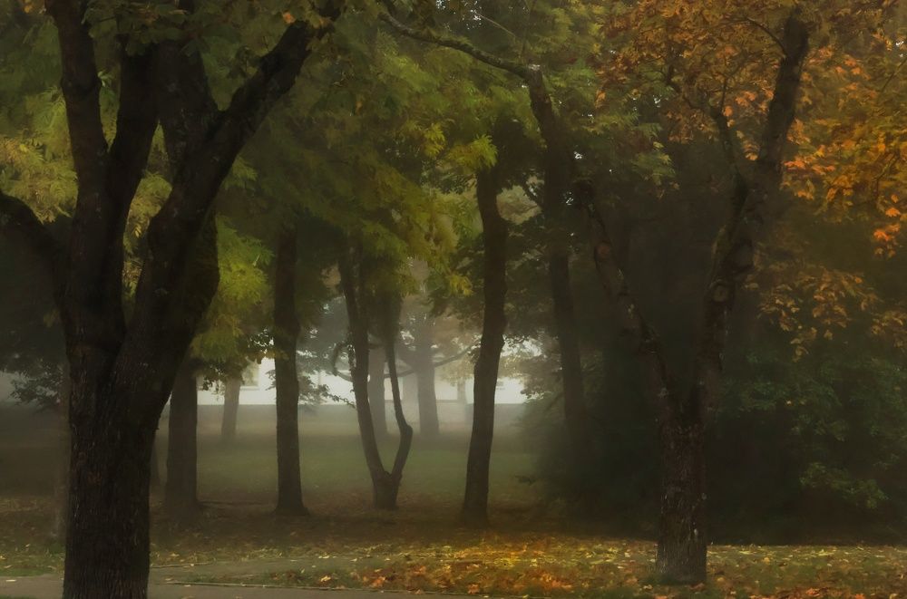 Осенний туман