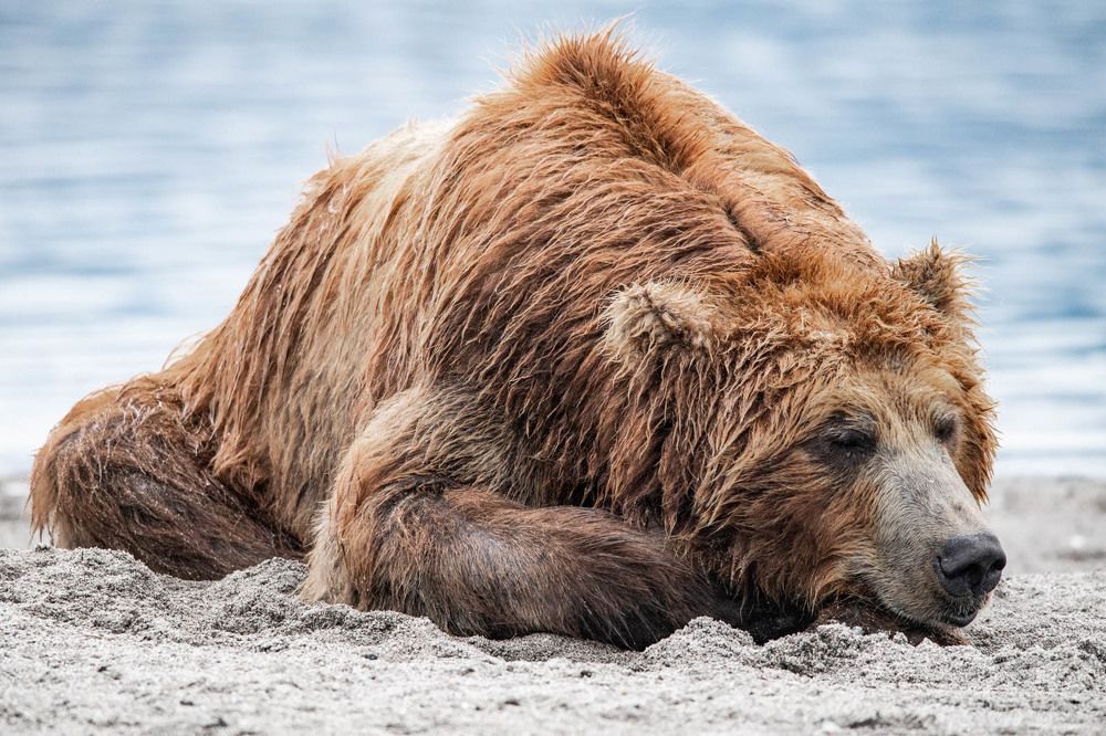 Photograph by Алексей Шаскольский