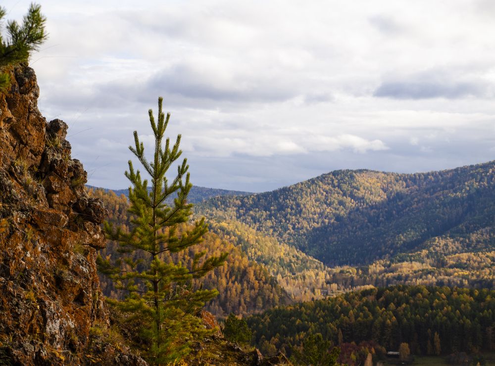 Photograph by Илюшечкина Екатерина