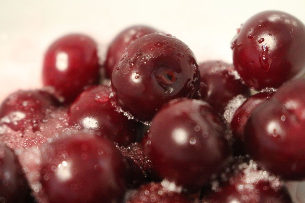 Photograph by Софья Белоногова