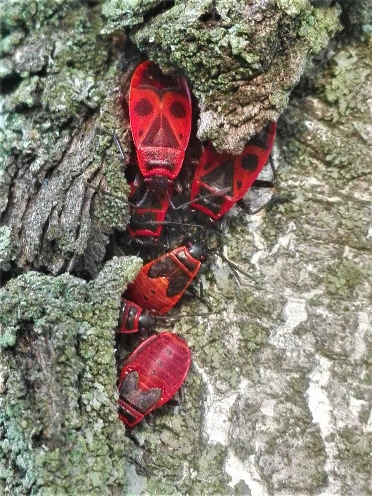 Photograph by Наталья Галай