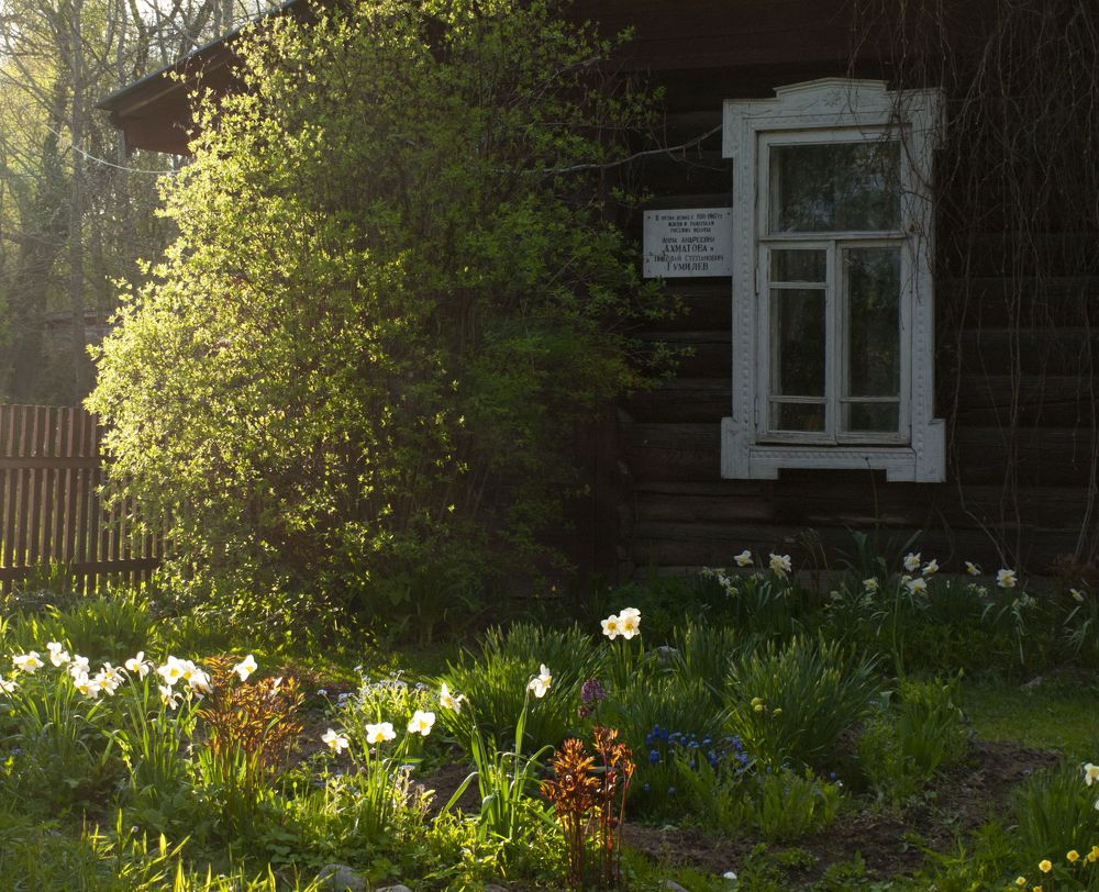 Photograph by Илюшечкина Екатерина