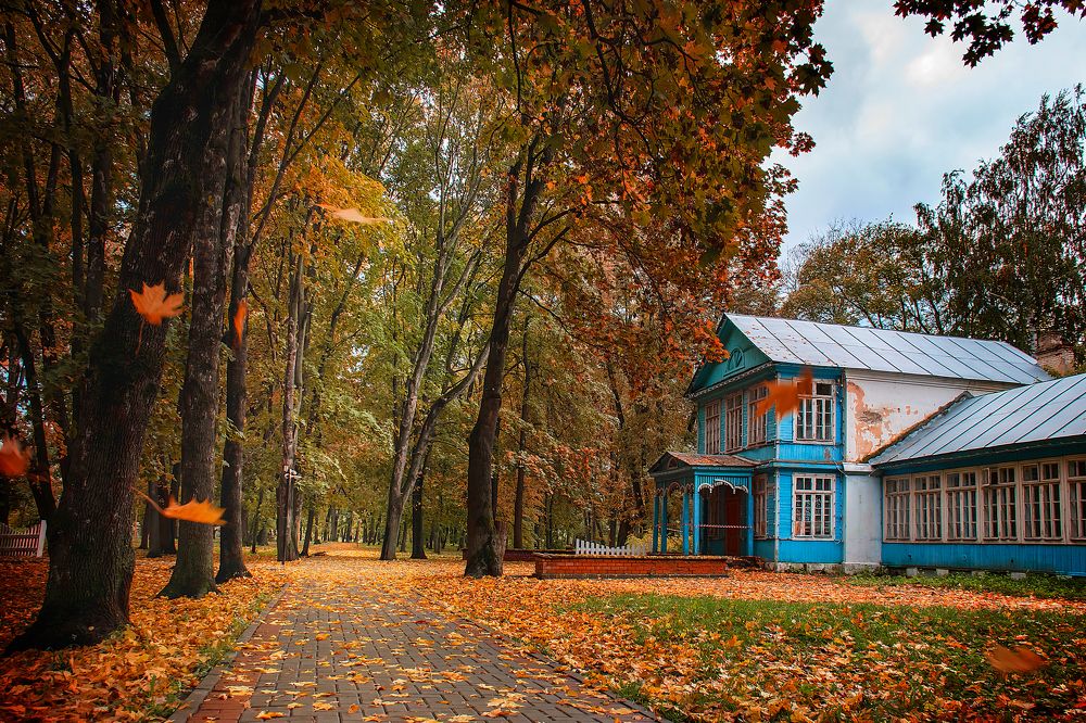 Photograph by Елена Кухарева