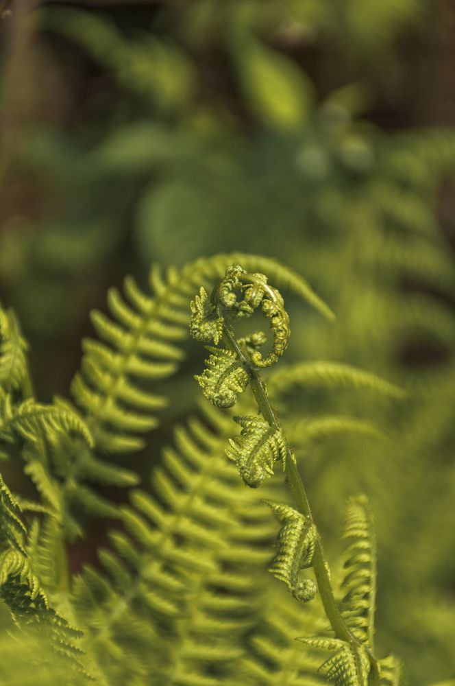 Photograph by Артём Амельянчик