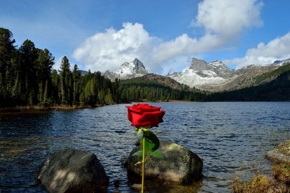 Photograph by Алексей Митрофанов