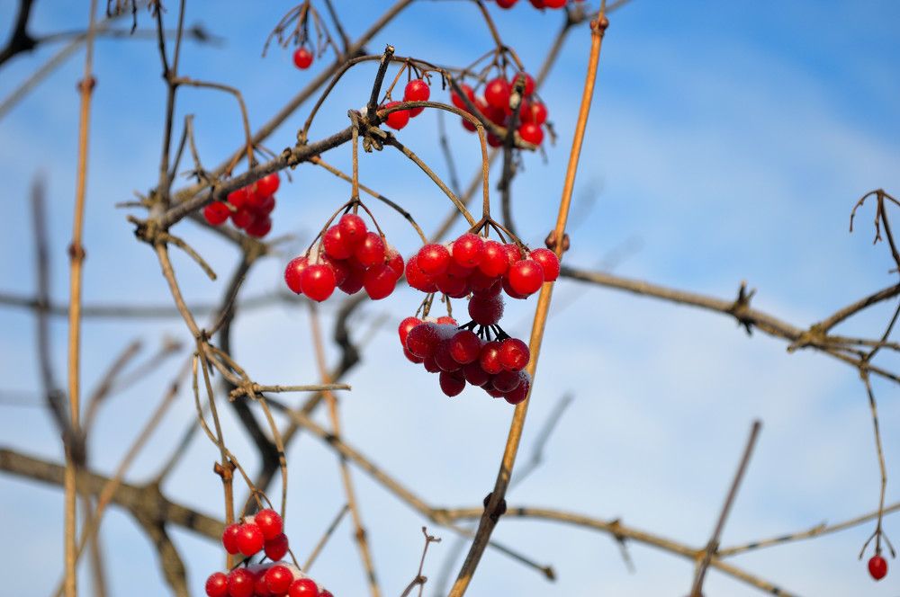 Photograph by Алексей Митрофанов