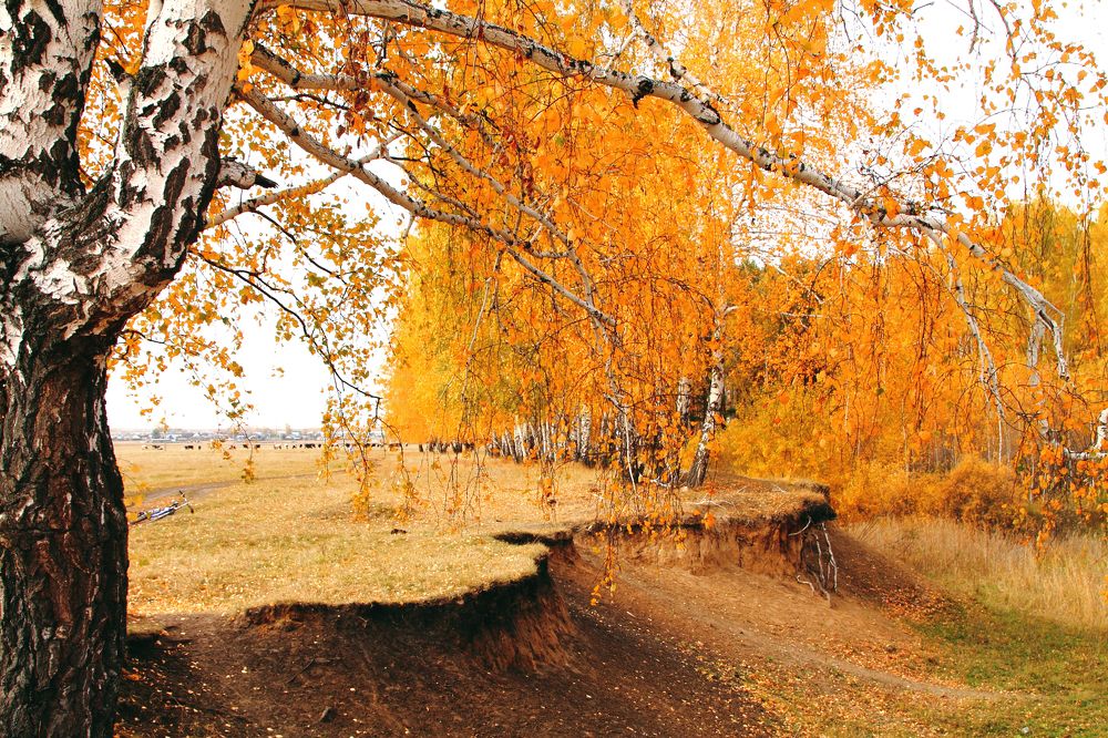 Photograph by Ольга Слотвинская