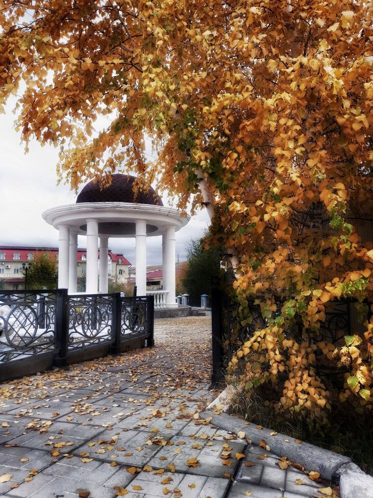 Photograph by Анастасия Дубинина