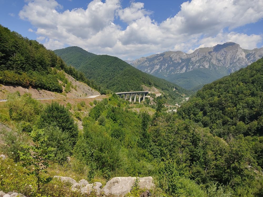 Фотография автора Danica Utjesinovic