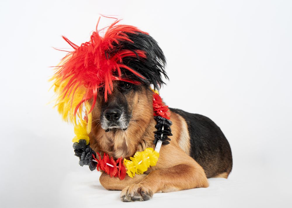 Photograph by Iuliia Kuznetcova