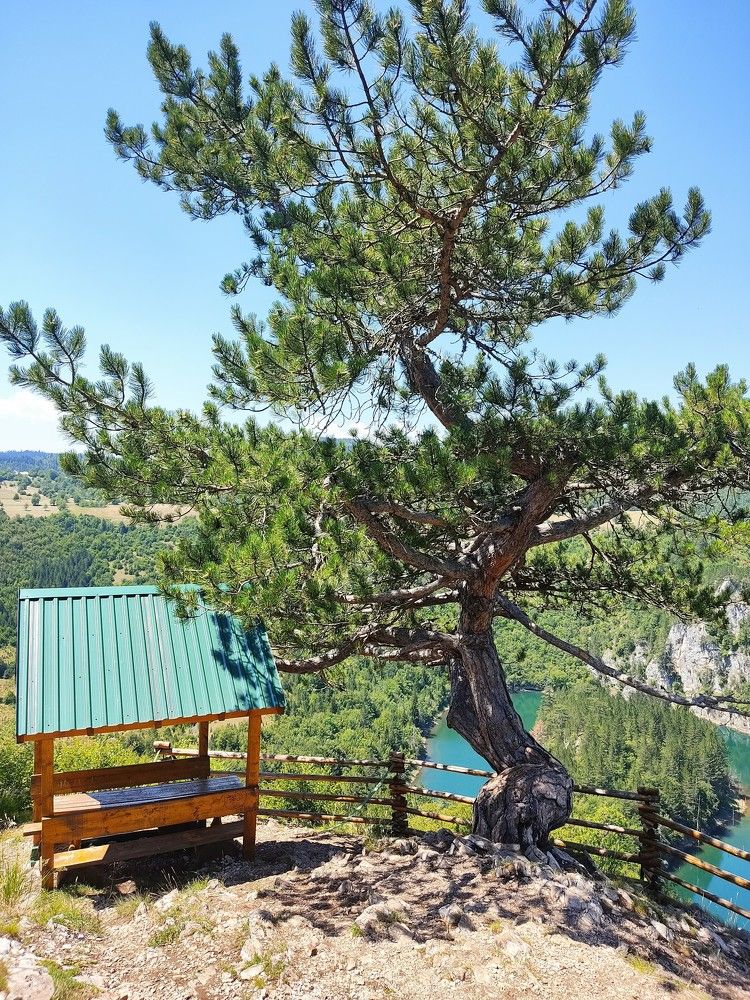 Фотография автора Danica Utjesinovic