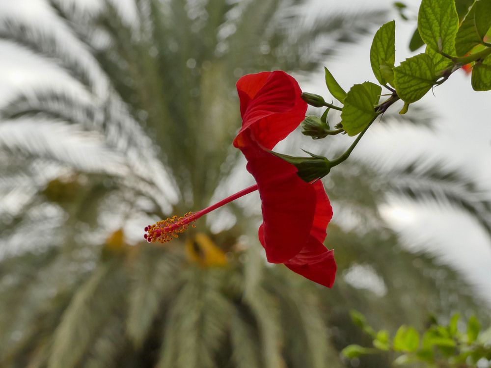 Photograph by Lucía Ruiz