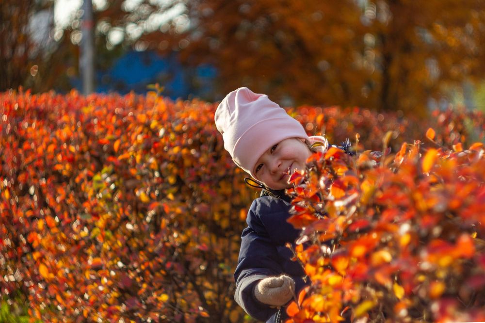 Photograph by Алексей