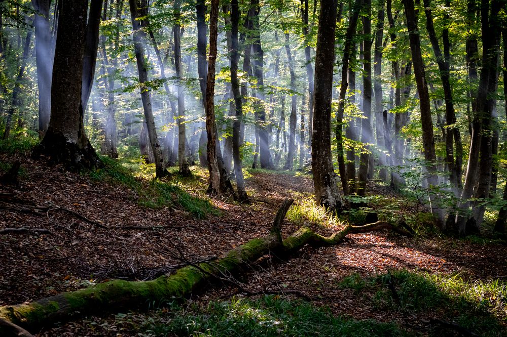 Photograph by Евгений Еськов