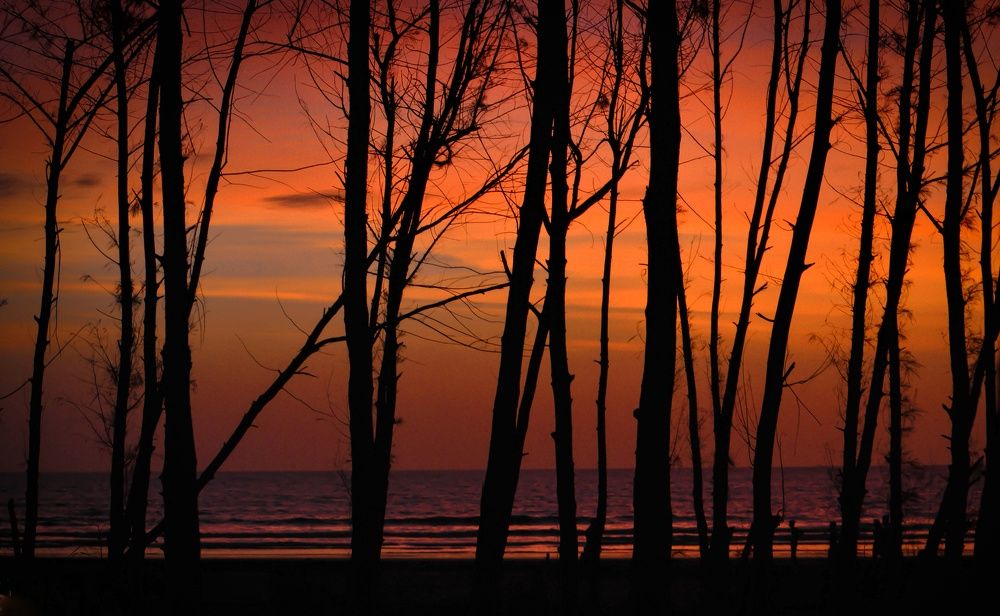 Photograph by Shubham Singh