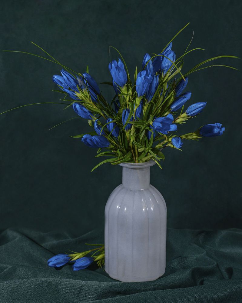 С оттенками зелёного ...