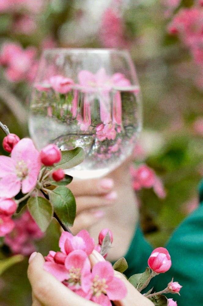 Photograph by Елена Квасова