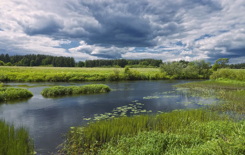 Photograph by Анатолий Максимов