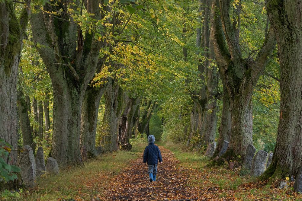 Photograph by Сипаева Катерина