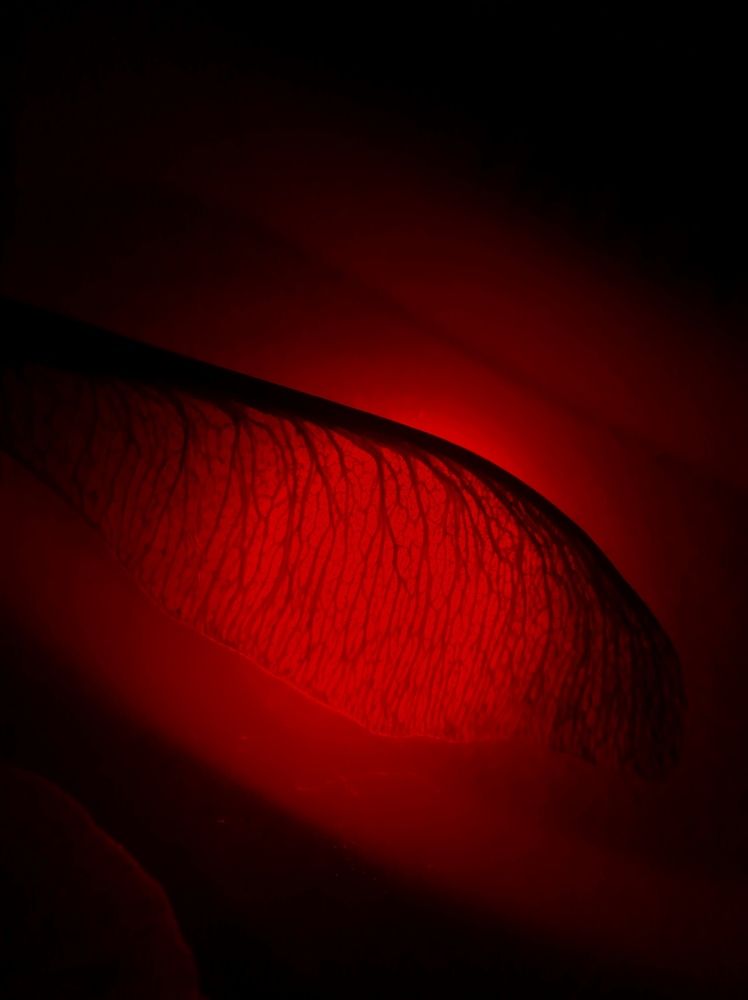 Photograph by Ольга Мокрова