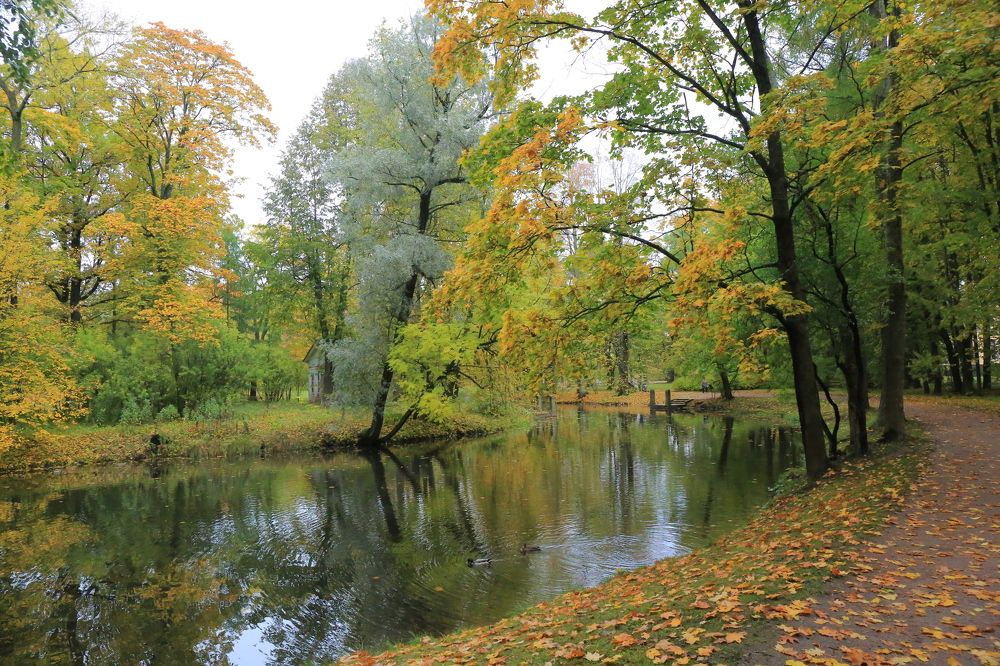 Photograph by Николай Бакулин