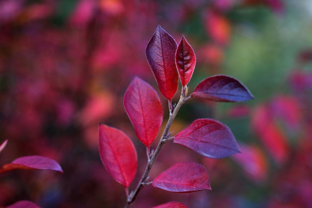 Photograph by Юрий Варюхин